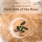 Dark Side of the Bean - Mocha Mead